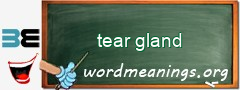 WordMeaning blackboard for tear gland